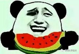 吃 瓜群微信,微信社交新潮流