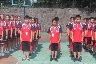 课后吃瓜拓展训练,趣味学习新体验