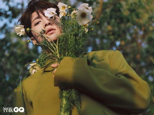 艾达吃瓜,揭秘娱乐圈的甜蜜与苦涩