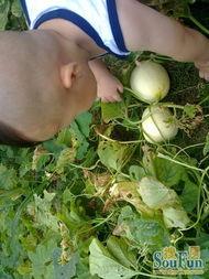 遥遥吃大瓜,揭秘娱乐圈幕后故事